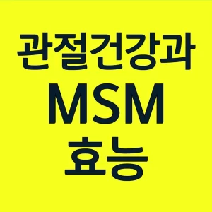 관절건강-MSM효능