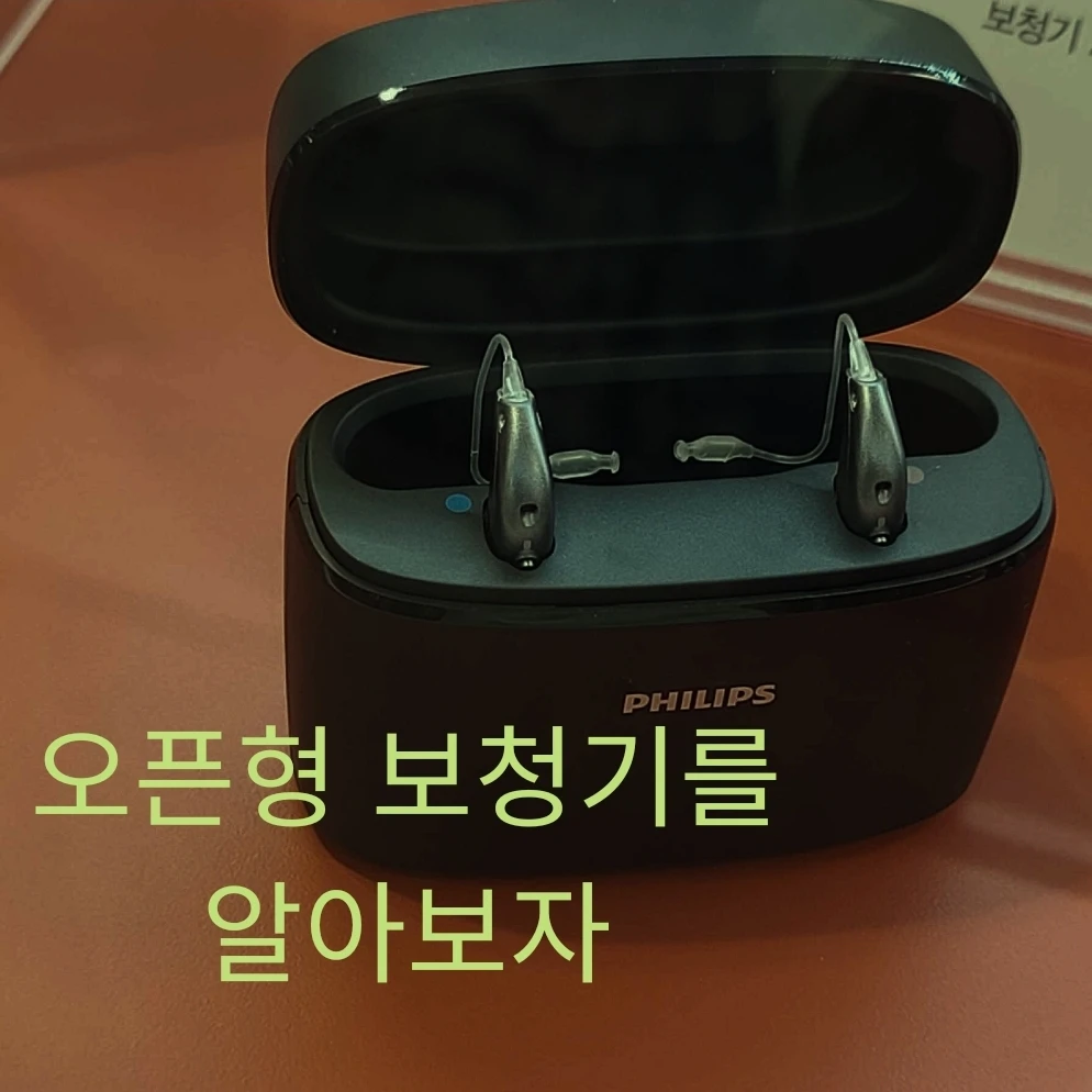 오픈형 보청기