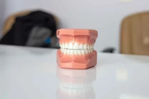 치아보험 종류