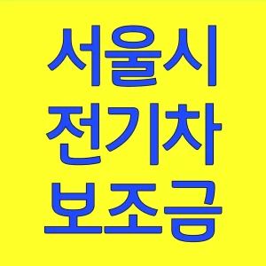 서울시 전기차 보조금