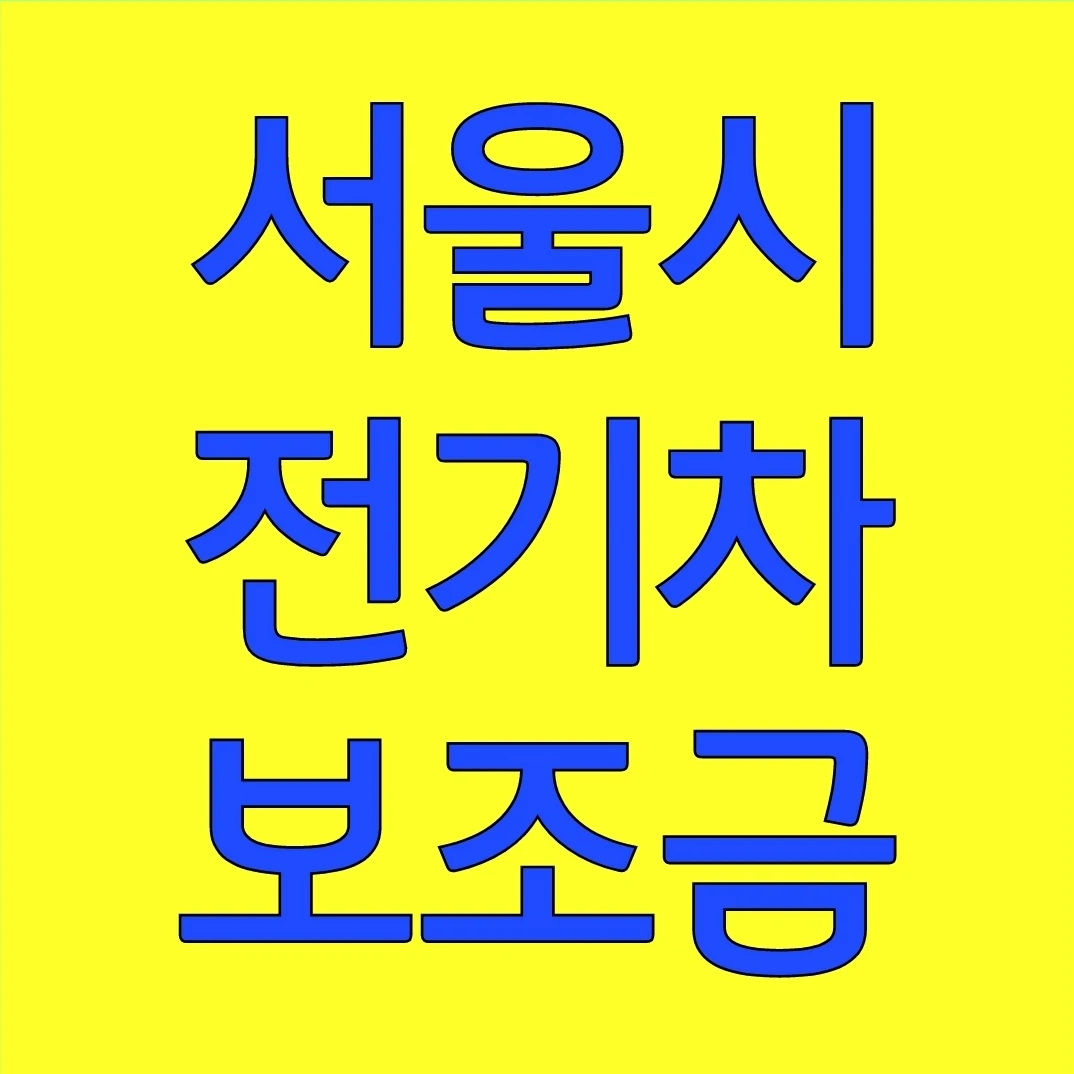 서울시 전기차 보조금