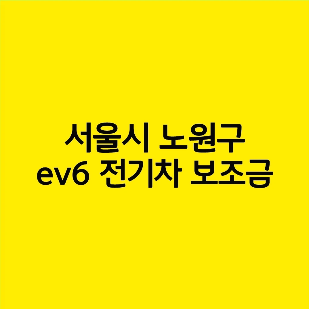 서울시 노원구 기아 ev6 전기차 보조금