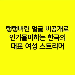 탬탬버린 얼굴 비공개로 인기몰이하는 한국의 대표 여성 스트리머