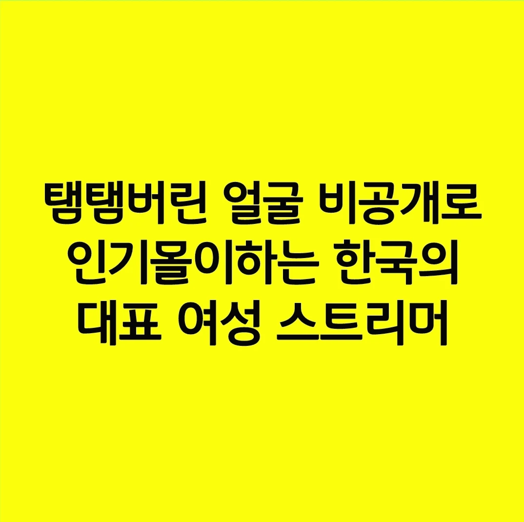 탬탬버린 얼굴 비공개로 인기몰이하는 한국의 대표 여성 스트리머