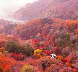 화담숲 단풍시기 개요