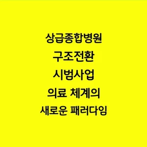 상급종합병원 구조전환 시범사업 의료 체계의 새로운 패러다임