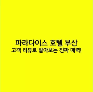 파라다이스 호텔 부산, 고객 리뷰로 알아보는 진짜 매력!