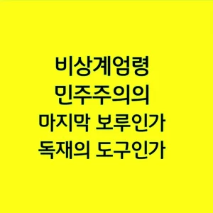 비상계엄령, 민주주의의 마지막 보루인가 독재의 도구인가