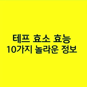 테프 효소 효능 10가지 놀라운 정보, 지금 바로 확인하세요!