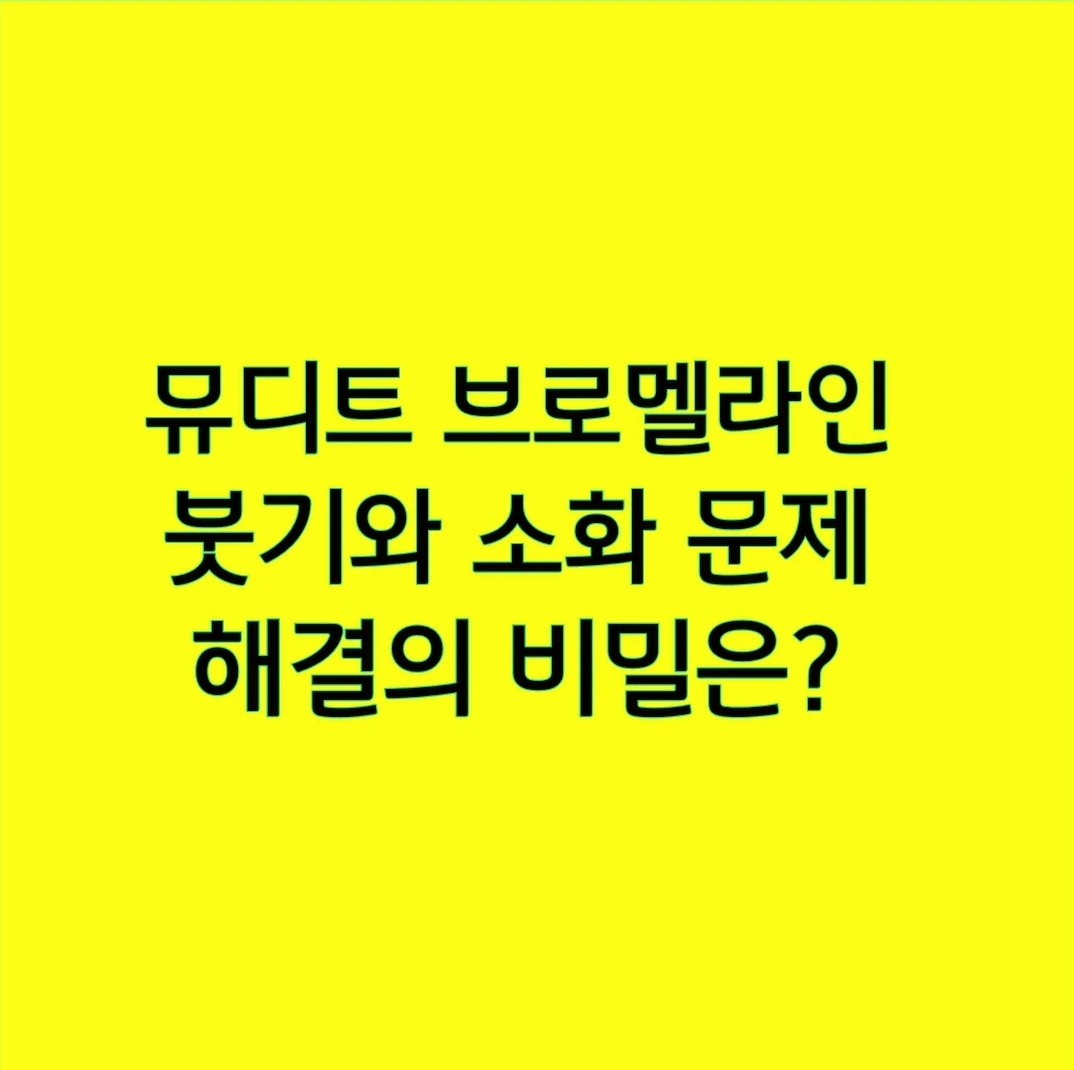 뮤디트 브로멜라인, 붓기와 소화 문제 해결의 비밀은?