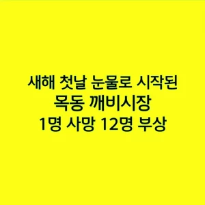 새해 첫날 눈물로 시작된 목동 깨비시장, 1명 사망 12명 부상