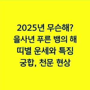 2025년 무슨해? 을사년 푸른 뱀의 해, 띠별 운세와 특징, 궁합, 천문 현상