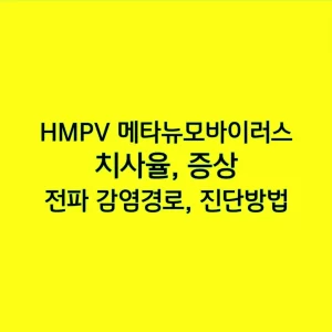 HMPV 메타뉴모바이러스 치사율, 증상, 전파 감염경로, 진단방법